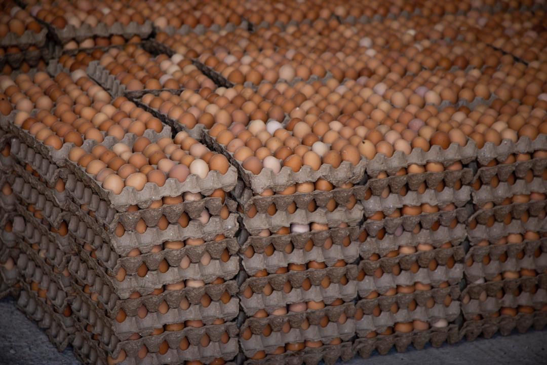 WhatsApp Bild 2024-03-09 um 18.47.18_735dd1b5